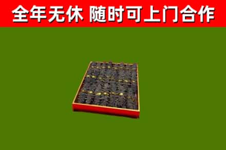石峰回收海参